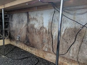Free mould survey, Mould surveyor, Mould survey, Mould report, Mould specialist, Condensation survey, Condensation expert, Condensation and mould specialist, Condensation treatment, mould in old house, moisture coming through walls, inside walls are wet, condensation under floorboards, condensation advice, condensation on outside walls, wet mould walls, mould coming through walls, condensation in rented property, fixing condensation on walls, buying a house with mould, condensation fix, mould on walls from condensation, moisture inside walls, landlord condensation problems, cause of condensation in house condensation in houses uk, mold from dampness, house condensation problems