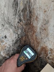 damp and timber report being carried out by a specialist damp surveyor