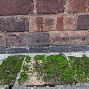 Bridged damp proof course and chemical injection just above it.