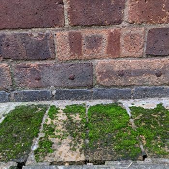 Bridged damp proof course and chemical injection just above it.