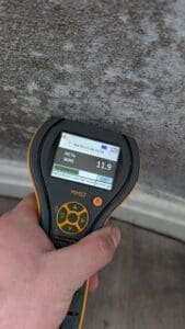 damp and timber survey, condensation survey, mould survey,