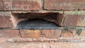 Damp and timber survey and report specialist. Correctly diagnosing rising damp issues and wood rot treatments.